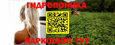 прущие крисы Рыбинск