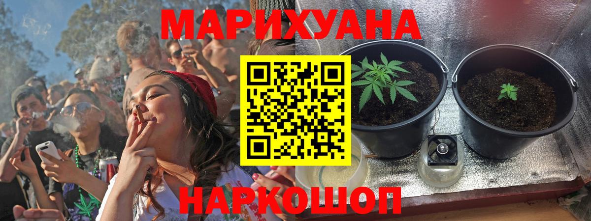 Марихуана Bruce Banner  Вход с VPN  Семилуки  Бошки Шишки гибрид  Марихуана сатива 